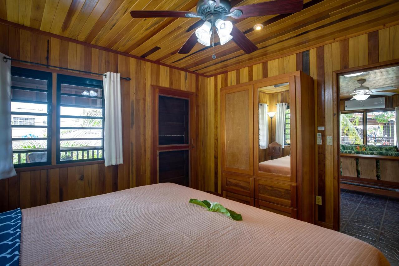 Driftwood Gardens Guesthouse Placencia 외부 사진