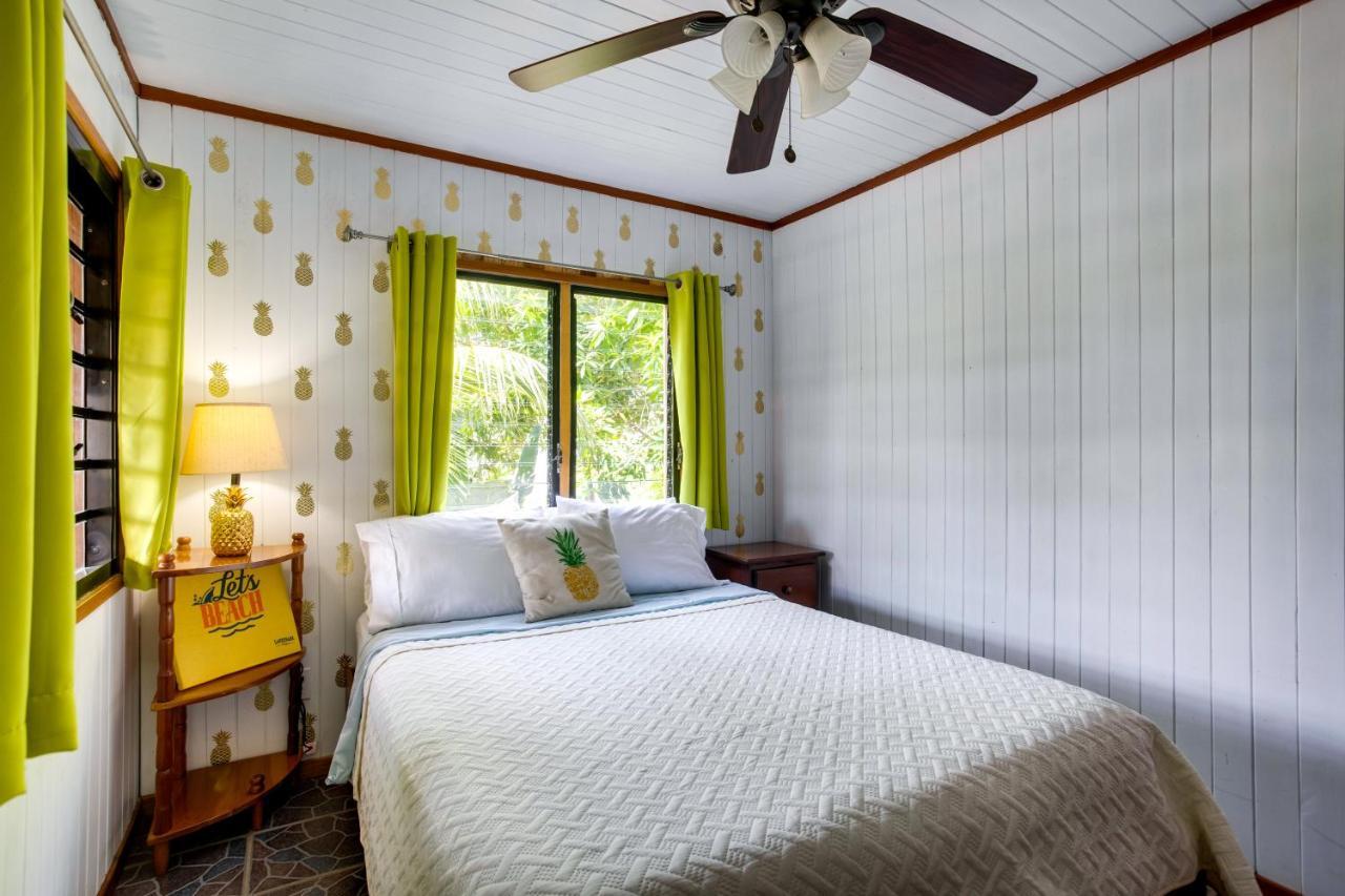 Driftwood Gardens Guesthouse Placencia 외부 사진