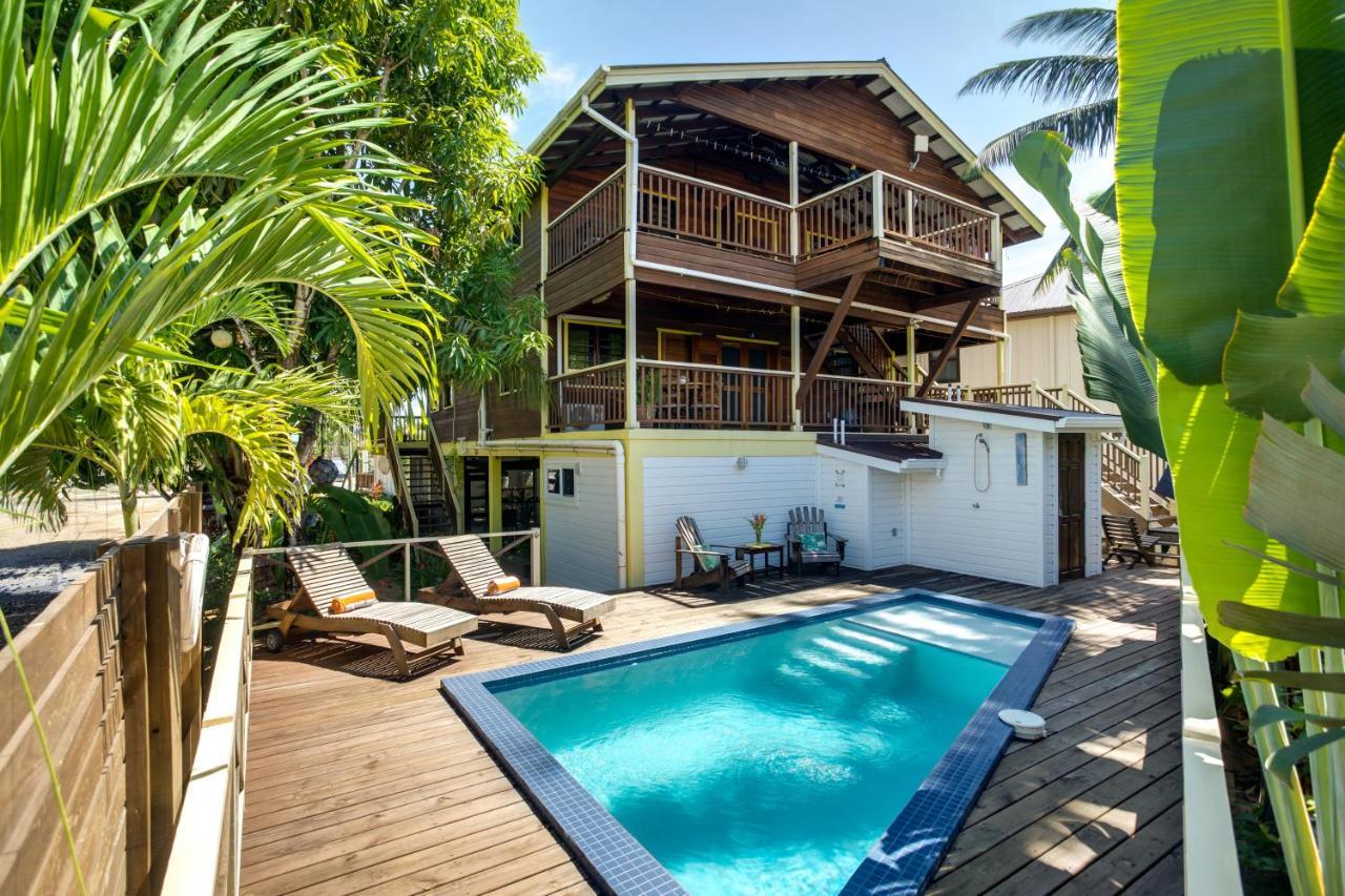 Driftwood Gardens Guesthouse Placencia 외부 사진