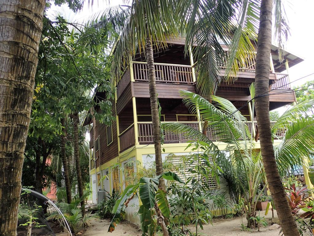 Driftwood Gardens Guesthouse Placencia 외부 사진
